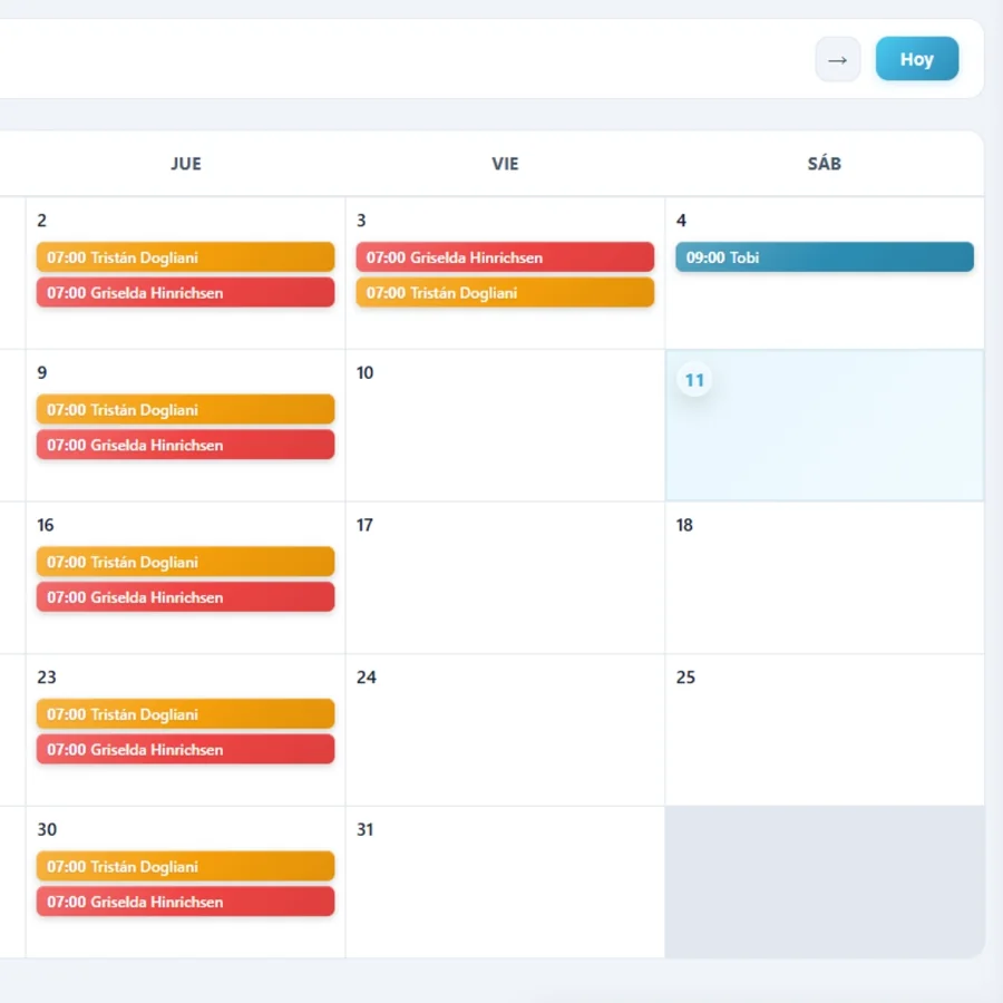 Vista de la agenda con turnos