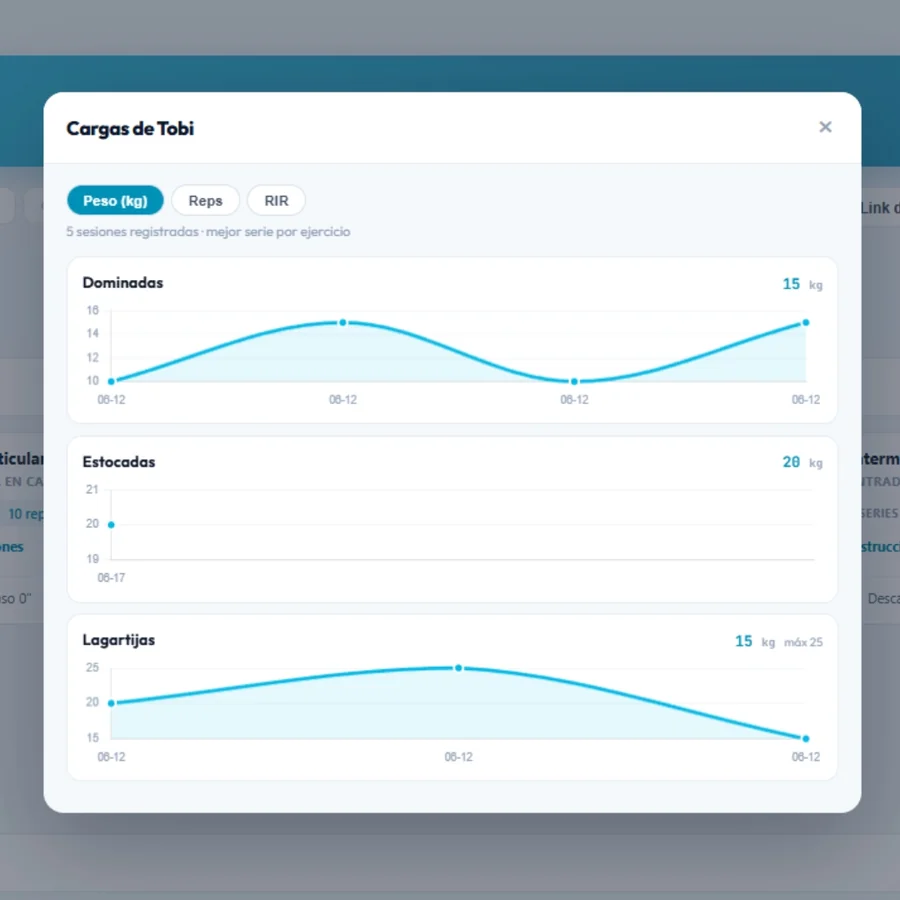Modal de ver cargas del cliente