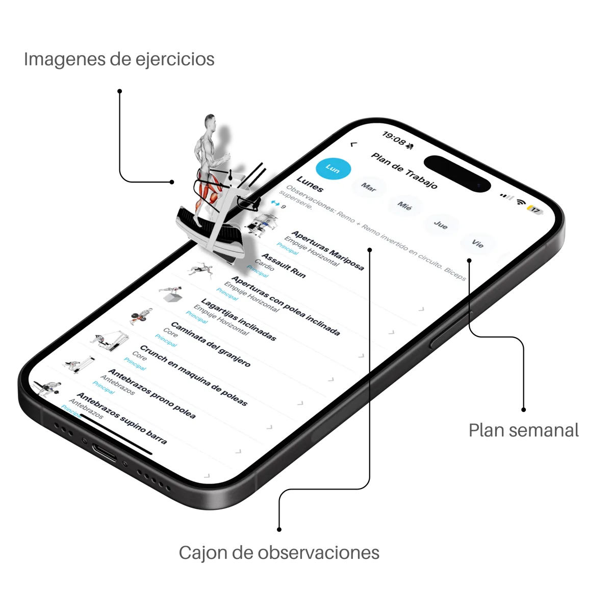 App Soma Zoe — plan de entrenamiento en el celular
